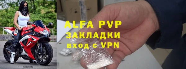 ПСИЛОЦИБИНОВЫЕ ГРИБЫ Иннополис