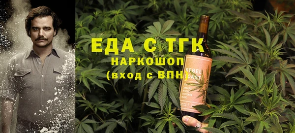 гидра Инсар