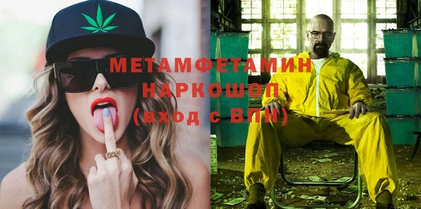 гидра Инсар