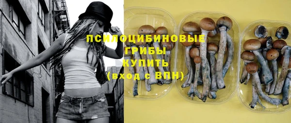 MESCALINE Каменка