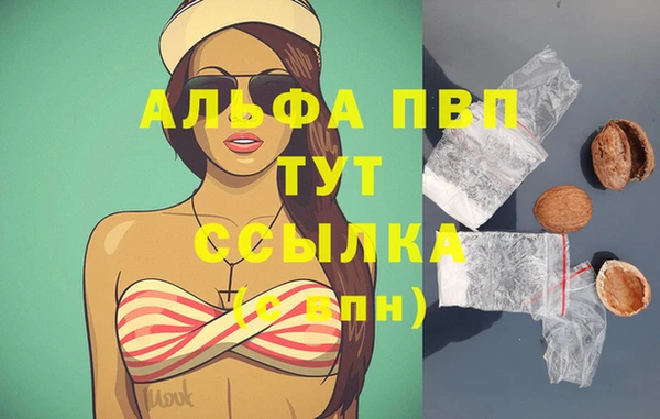гидра Инсар