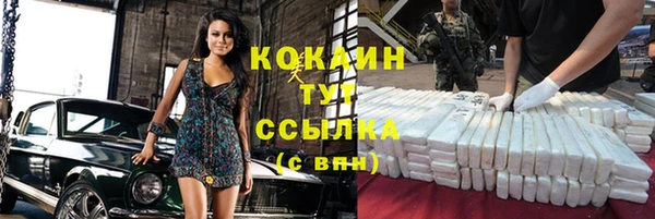 гидра Инсар