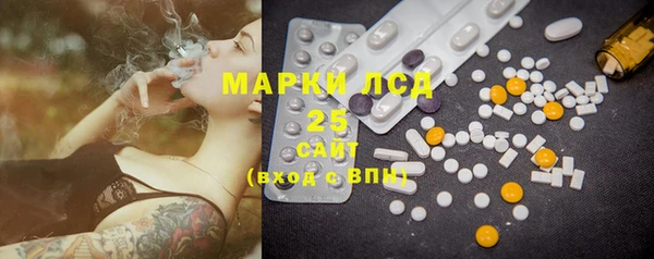 гидра Инсар
