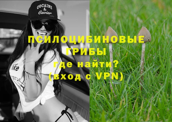гидра Инсар